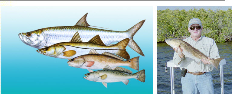 Like Fishing? - You'll Love Punta Gorda Charters @ Laishley Marina Punta Gorda!