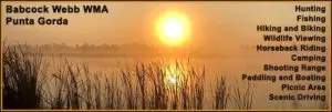 Babcock Webb Wildlife Management Area Punta Gorda
