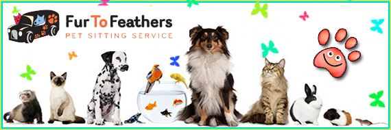 Fur to Feathers Complete In Your Home Pet Care for Punta Gorda and Surrounding Areas