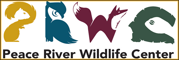 Peace River Wildlife Center Punta Gorda banner