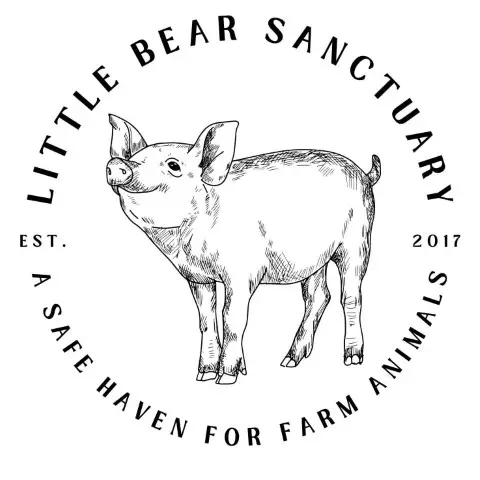 Little Bear Sanctuary - Logo