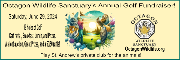 Octagon Wildlife Sanctuary’s Annual Golf Fundraiser! Play St Andrew’s private club for the Animals! 18 holes of golf, Cart rental, Breakfast, Lunch, Silent auction, 50/50 raffle and Great Prizes,