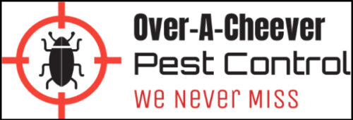 Over-A-Cheever Pest Control Pest Control & Pest Service Professional Serving Punta Gorda - Charlotte/Sarasota County!