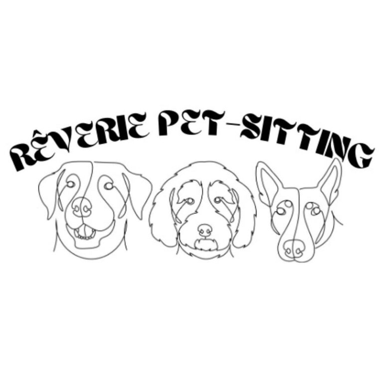 Everything 11 IMG 7835