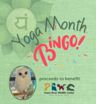 2025 Yoga Month
