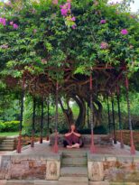 Art of Letting go 2025