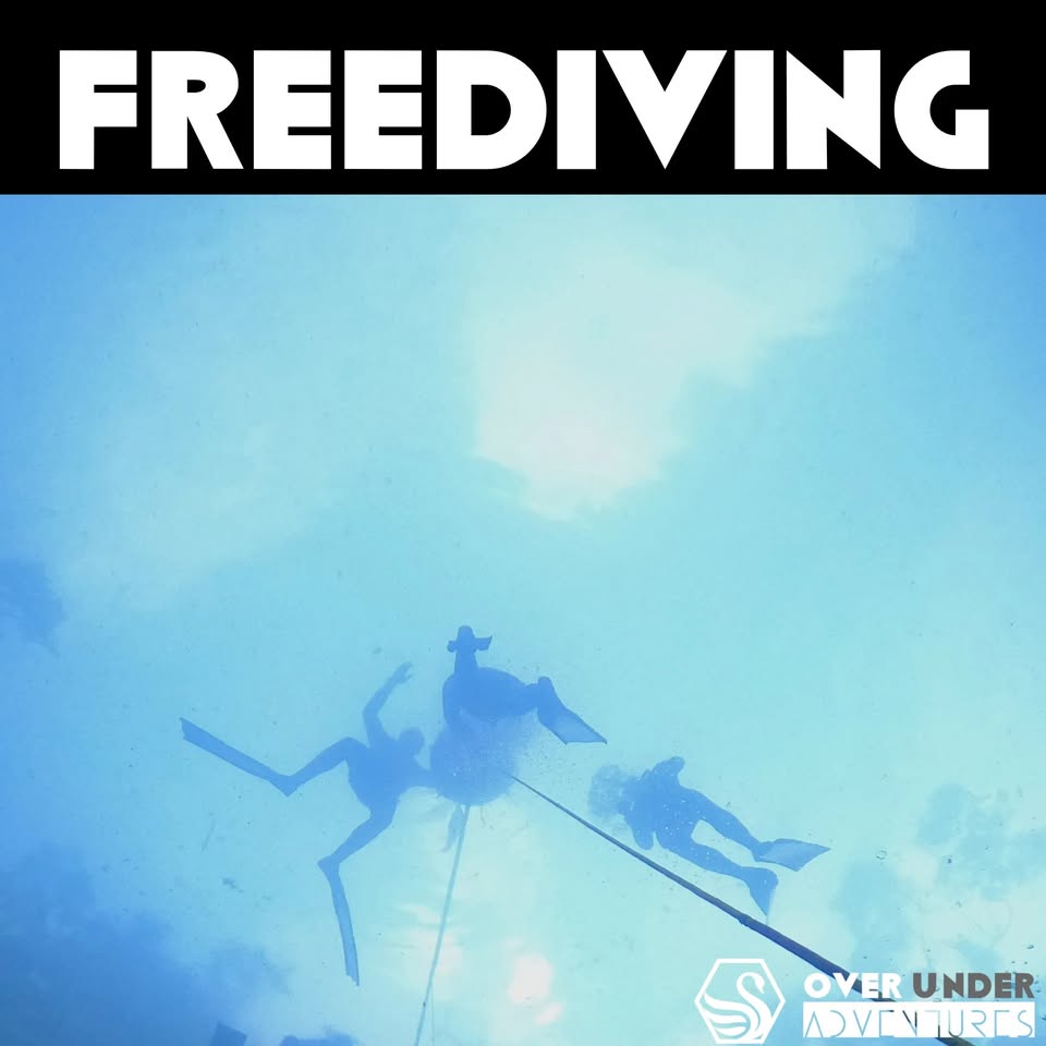 Freediving Course Level 1 – 20m