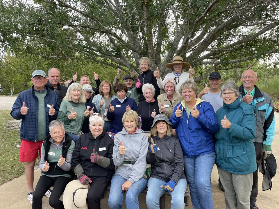 Talking Plants Free Classes