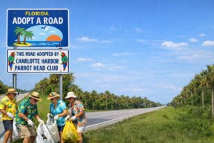 adopt a road clean up