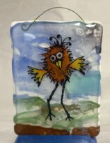 class: goofy powder birds (punta gorda)