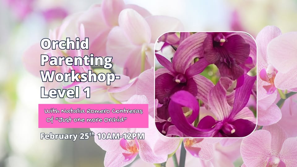 orchid parenting: level 1 workshop