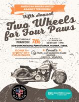two wheels for four paws