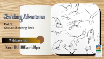 sketching adventures with karen sako: part 3 gesture sketching birds