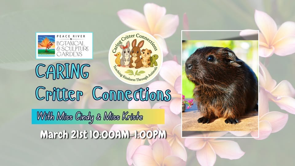 caring critter connections