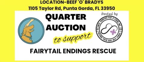 quarter auction to benefit fairytail endings rescue