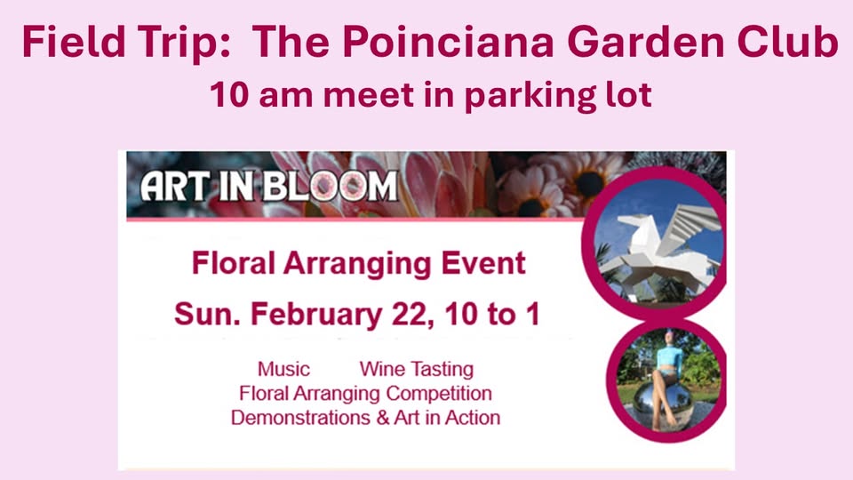 field trip: peace river botanical gardens floral arrangement competition