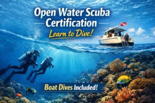 open water scuba diving course