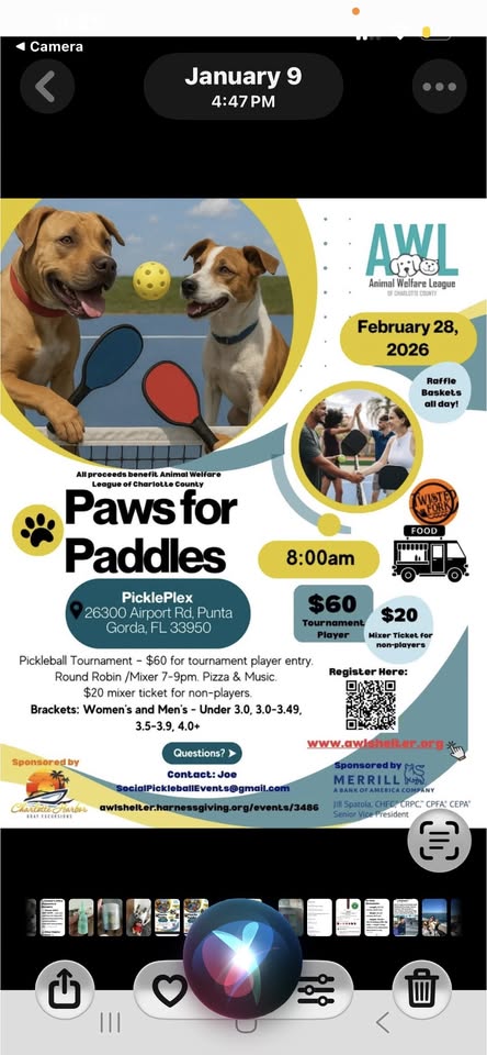 paws for paddles pickleball tournament