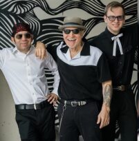 the divebombers at the celtic ray public house