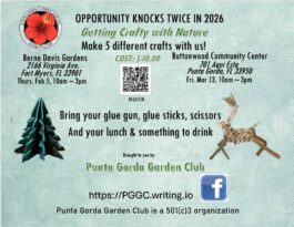 getting craft with nature