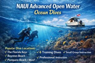 advanced open water course ocean boat dives