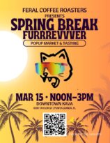 spring break furrrevvver pop up market