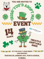 'irish' you'd adopt me!