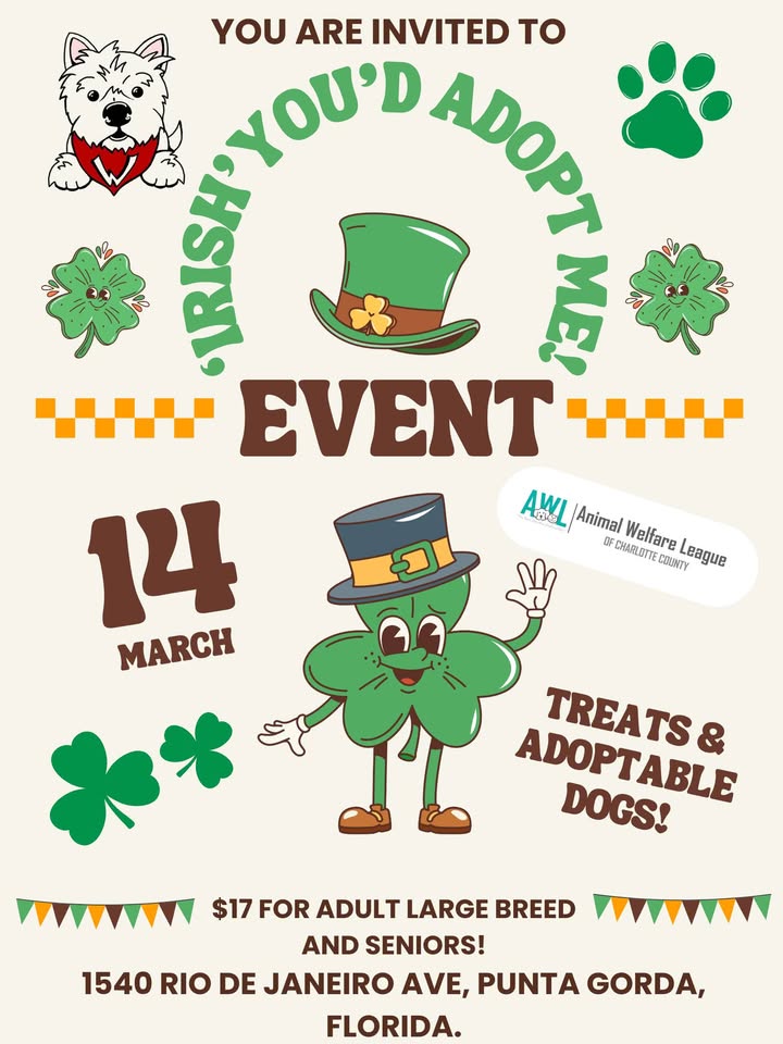 'irish' you'd adopt me!