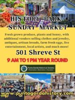 donna jarry skin care @ history park