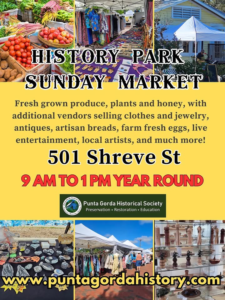 donna jarry skin care @ history park