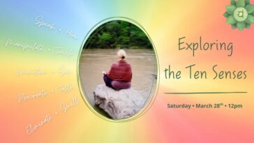 exploring the ten senses