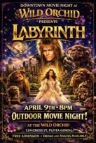 downtown movie night at wild orchid playing labyrinth.