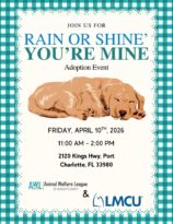 rain or shine, you're mine!