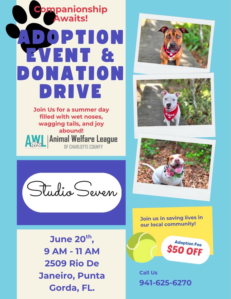 studio seven adoption event and donation drive