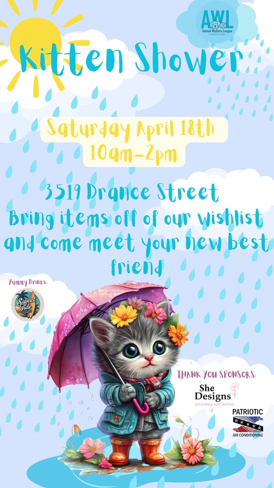 awl’s annual kitten shower