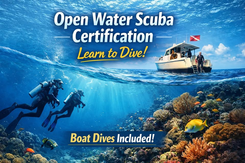 open water scuba diving course