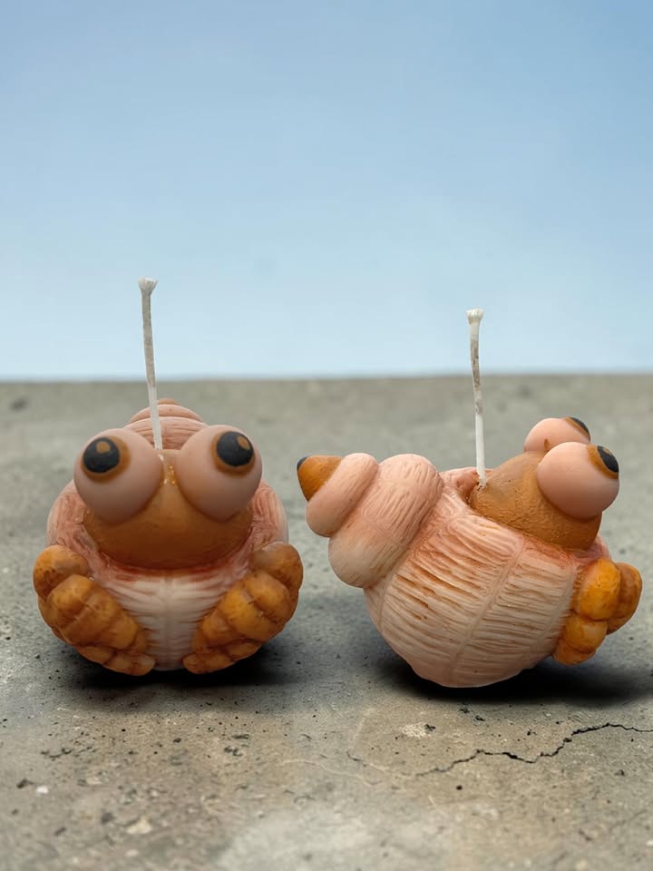hermit crab candle canvas workshop