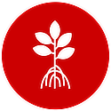 Red Mangrove – Full-Service Real Estate Without the Traditional Costs!