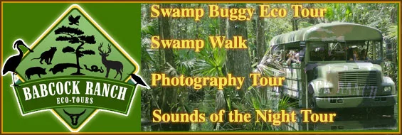 Get close to nature at Babcock Ranch Eco Tours Punta Gorda. Babcock