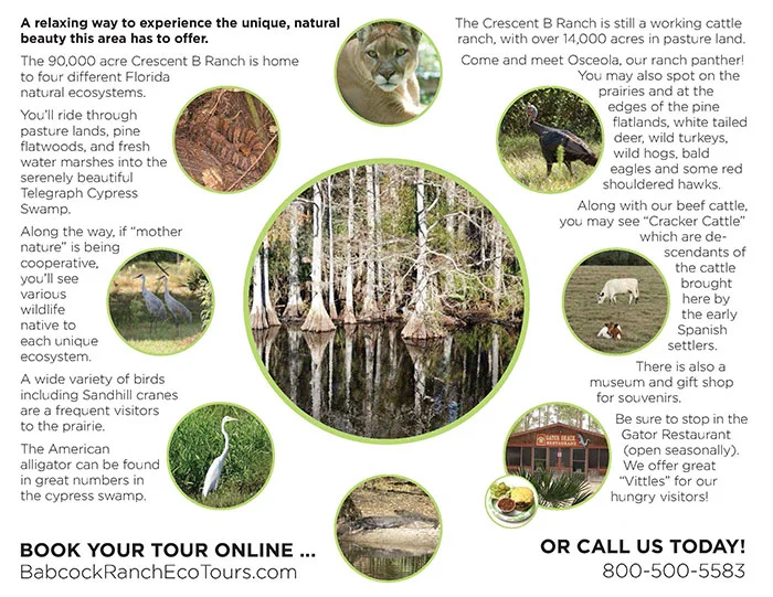 Get close to nature at Babcock Ranch Eco Tours Punta Gorda. BabcockRanch Brochure Page B