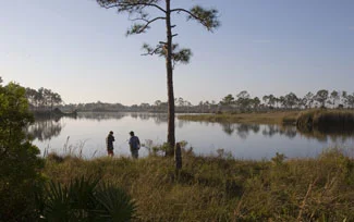 Visit Babcock Webb Wildlife management area  – Fishing – Shooting Range – Hunting – Hiking and Biking just 5 miles south of Punta Gorda

