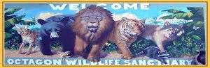 Octagon Wildlife Sanctuary