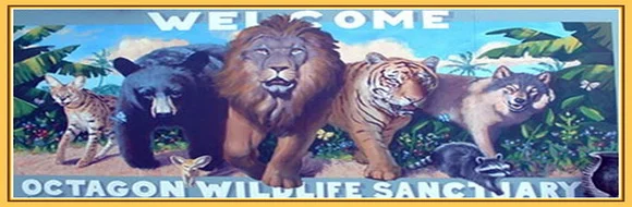 Octagon Wildlife Sanctuary