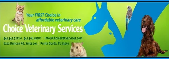 Choice Veterinary Punta Gorda Banner E1534698343206