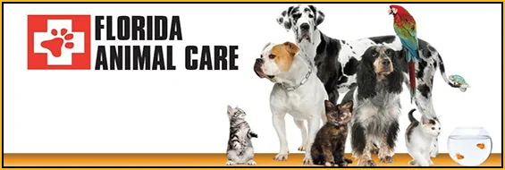 Florida Animal Care of Punta Gorda is also an Animal Hospital serving the Pets and Owners of Port Charlotte and Fort Myers. Fac19 Banner