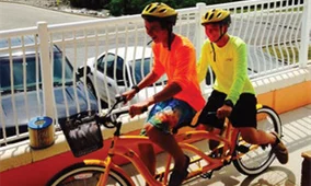 bikes