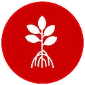 Red Mangrove – Full-Service Real Estate Without the Traditional Costs!